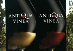Antiqua Vinea
